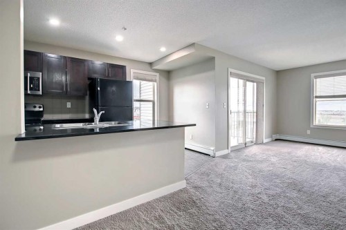 301-355 Taralake Way Ne, Calgary, AB - Indoor Photo Showing Kitchen With Double Sink