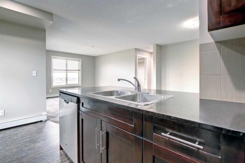 301-355 Taralake Way Ne, Calgary, AB - Indoor Photo Showing Kitchen With Double Sink
