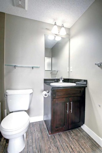 301-355 Taralake Way Ne, Calgary, AB - Indoor Photo Showing Bathroom