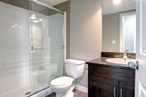 301-355 Taralake Way Ne, Calgary, AB - Indoor Photo Showing Bathroom