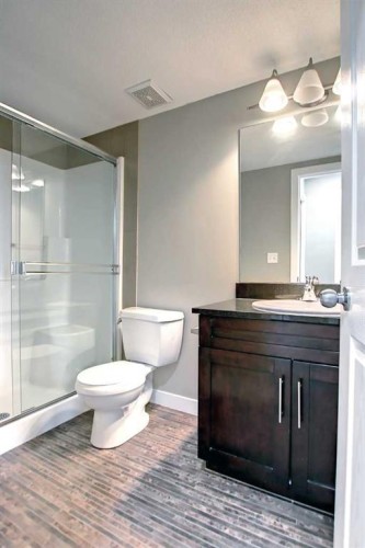 301-355 Taralake Way Ne, Calgary, AB - Indoor Photo Showing Bathroom