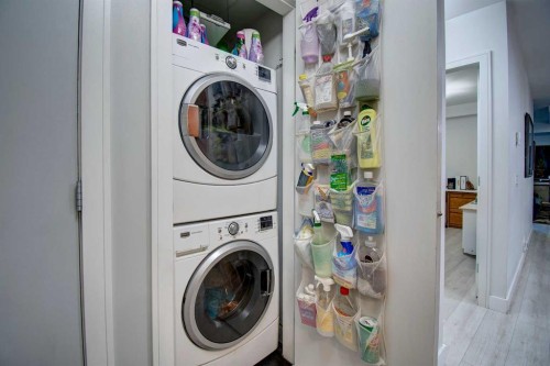 231-222 Riverfront Avenue Sw, Calgary, AB - Indoor Photo Showing Laundry Room