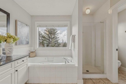 286 Mountain Park Drive Se, Calgary, AB - Indoor Photo Showing Bathroom