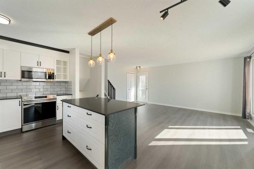 6808 Rundlehorn Drive Ne, Calgary, AB - Indoor Photo Showing Kitchen With Upgraded Kitchen