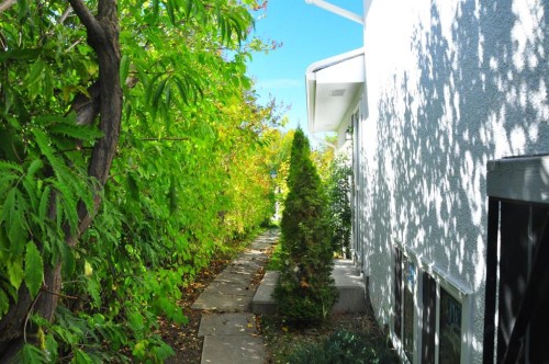 6808 Rundlehorn Drive Ne, Calgary, AB - Outdoor