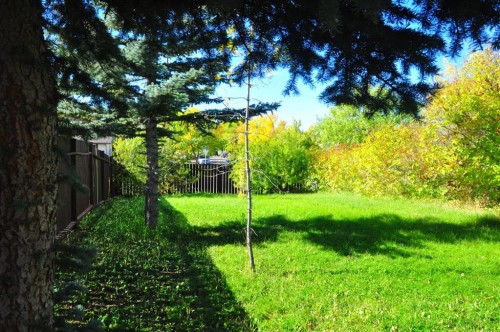 6808 Rundlehorn Drive Ne, Calgary, AB - Outdoor