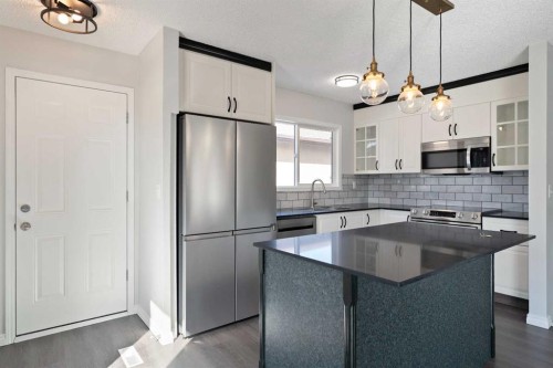 6808 Rundlehorn Drive Ne, Calgary, AB - Indoor Photo Showing Kitchen With Upgraded Kitchen