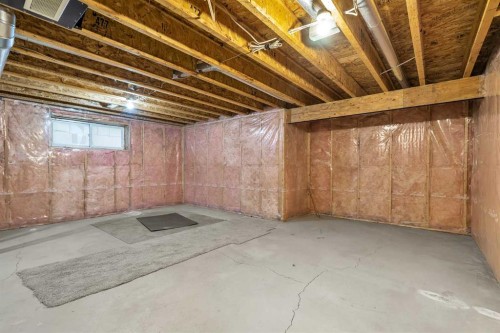 368 New Brighton Place Se, Calgary, AB - Indoor Photo Showing Basement