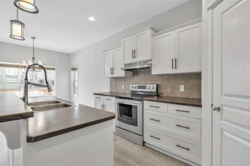 368 New Brighton Place Se, Calgary, AB - Indoor Photo Showing Kitchen With Double Sink