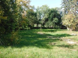 4807-47 AVE Avenue Innisfail, AB T4G 1N6