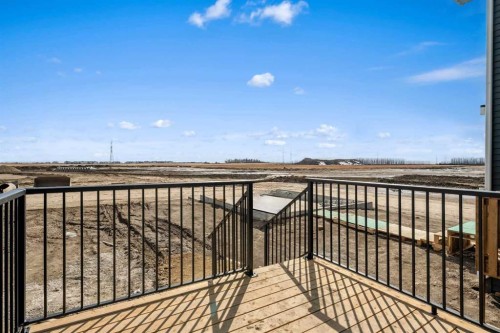 659 Chelsea Pier Run, Chestermere, AB - Outdoor