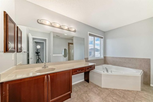 46 Saddlecrest Gardens Ne, Calgary, AB - Indoor Photo Showing Bathroom