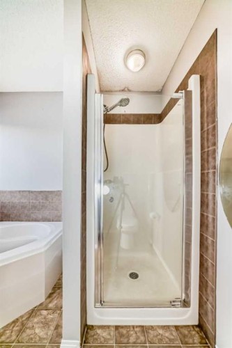 46 Saddlecrest Gardens Ne, Calgary, AB - Indoor Photo Showing Bathroom