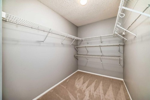 46 Saddlecrest Gardens Ne, Calgary, AB - Indoor With Storage