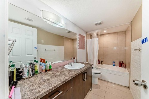 46 Saddlecrest Gardens Ne, Calgary, AB - Indoor Photo Showing Bathroom