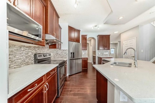 46 Saddlecrest Gardens Ne, Calgary, AB - Indoor Photo Showing Kitchen With Stainless Steel Kitchen With Double Sink With Upgraded Kitchen