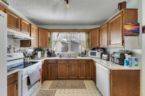 1003 Berkley Drive Nw, Calgary, AB - Indoor Photo Showing Kitchen With Double Sink