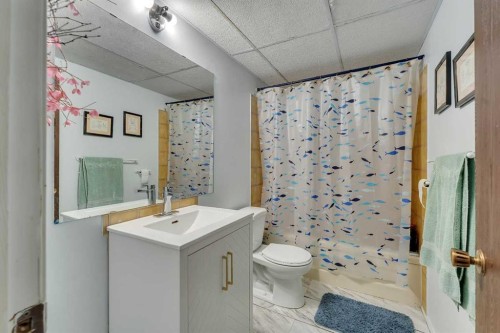 1003 Berkley Drive Nw, Calgary, AB - Indoor Photo Showing Bathroom