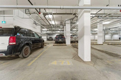 313-700 Shawnee Square Sw, Calgary, AB - Indoor Photo Showing Garage