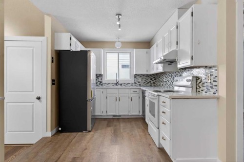 252 Erin Woods Drive Se, Calgary, AB - Indoor Photo Showing Kitchen With Upgraded Kitchen