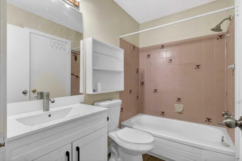 252 Erin Woods Drive Se, Calgary, AB - Indoor Photo Showing Bathroom