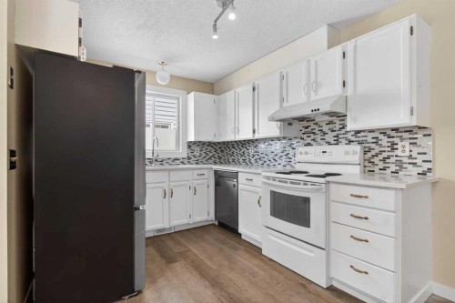 252 Erin Woods Drive Se, Calgary, AB - Indoor Photo Showing Kitchen