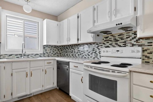 252 Erin Woods Drive Se, Calgary, AB - Indoor Photo Showing Kitchen With Double Sink