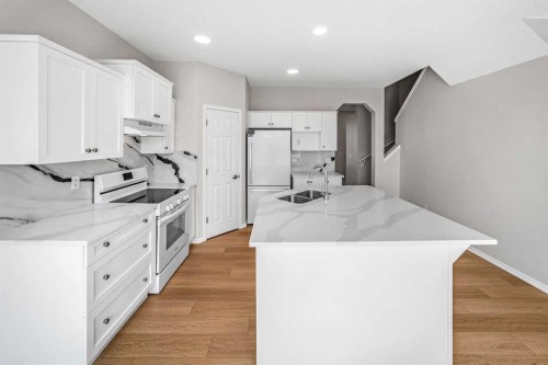 99 Covemeadow Close Ne, Calgary, AB - Indoor Photo Showing Kitchen With Double Sink