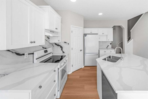 99 Covemeadow Close Ne, Calgary, AB - Indoor Photo Showing Kitchen With Double Sink