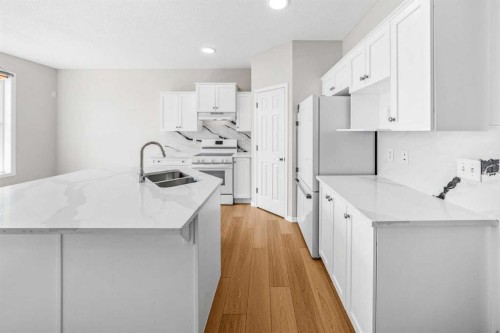 99 Covemeadow Close Ne, Calgary, AB - Indoor Photo Showing Kitchen With Double Sink