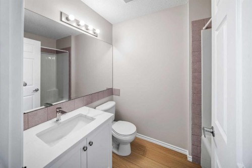99 Covemeadow Close Ne, Calgary, AB - Indoor Photo Showing Bathroom