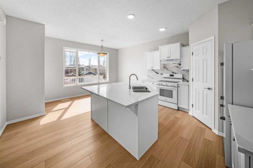 99 Covemeadow Close Ne, Calgary, AB - Indoor Photo Showing Kitchen With Double Sink