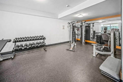604-519 Riverfront Avenue Se, Calgary, AB - Indoor Photo Showing Gym Room
