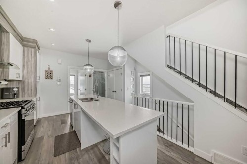 516-95 Skyview Close Ne, Calgary, AB - Indoor Photo Showing Kitchen With Double Sink With Upgraded Kitchen