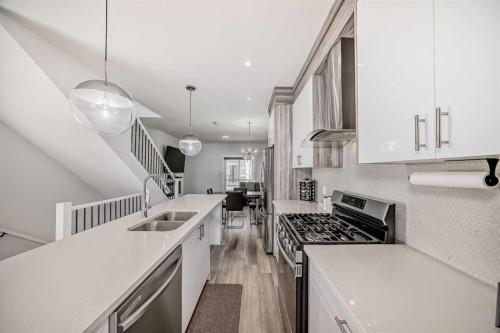516-95 Skyview Close Ne, Calgary, AB - Indoor Photo Showing Kitchen With Double Sink With Upgraded Kitchen