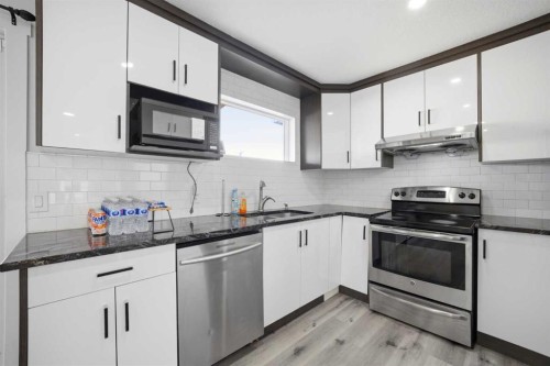 24 Martindale Drive Ne, Calgary, AB - Indoor Photo Showing Kitchen With Stainless Steel Kitchen With Upgraded Kitchen