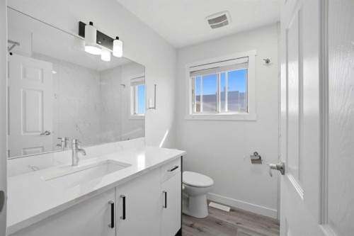 24 Martindale Drive Ne, Calgary, AB - Indoor Photo Showing Bathroom