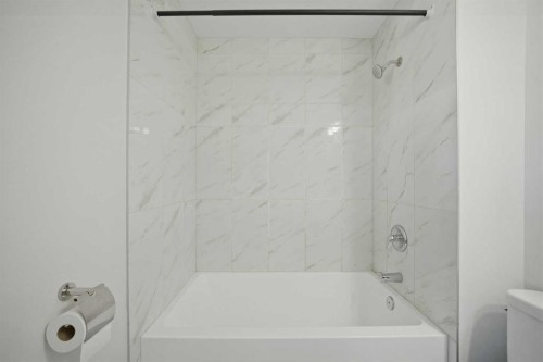 24 Martindale Drive Ne, Calgary, AB - Indoor Photo Showing Bathroom