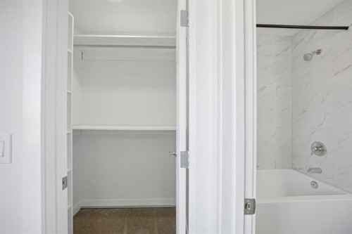 24 Martindale Drive Ne, Calgary, AB - Indoor Photo Showing Bathroom