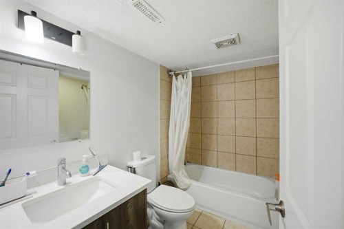 24 Martindale Drive Ne, Calgary, AB - Indoor Photo Showing Bathroom