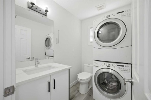 24 Martindale Drive Ne, Calgary, AB - Indoor Photo Showing Laundry Room
