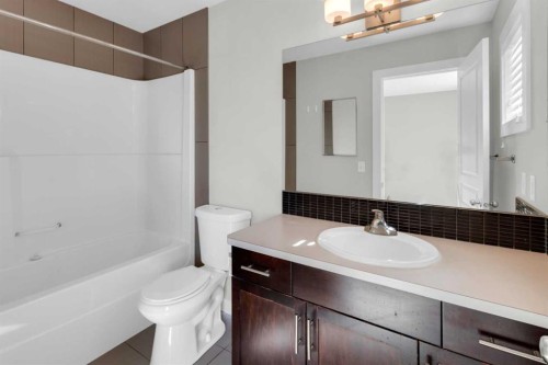 24 Royal Birch Park Nw, Calgary, AB - Indoor Photo Showing Bathroom