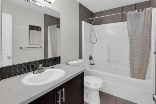 24 Royal Birch Park Nw, Calgary, AB - Indoor Photo Showing Bathroom