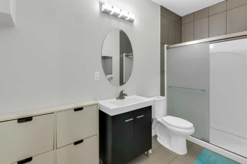 24 Royal Birch Park Nw, Calgary, AB - Indoor Photo Showing Bathroom