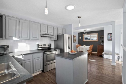 9519 3 Street Se, Calgary, AB - Indoor Photo Showing Kitchen With Stainless Steel Kitchen With Upgraded Kitchen