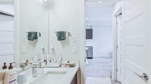 404-125 Wolf Hollow Crescent Se, Calgary, AB - Indoor Photo Showing Bathroom