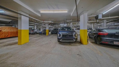 404-125 Wolf Hollow Crescent Se, Calgary, AB - Indoor Photo Showing Garage