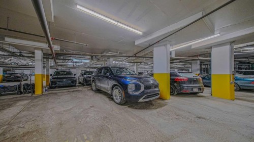 404-125 Wolf Hollow Crescent Se, Calgary, AB - Indoor Photo Showing Garage