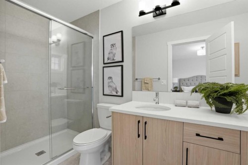 72 Buffaloberry Manor Se, Calgary, AB - Indoor Photo Showing Bathroom