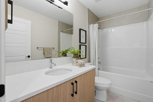 72 Buffaloberry Manor Se, Calgary, AB - Indoor Photo Showing Bathroom